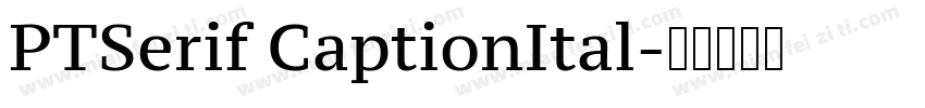 PTSerif CaptionItal字体转换